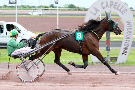Quinté de demain